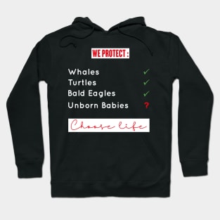 Save Unborn Babies | Pro-life Hoodie